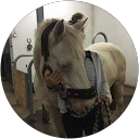 Helmi salo profile picture